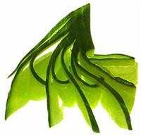 Завитки из огурцов