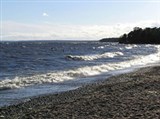 Зеленогорск (пляж на берегу Финского залива)