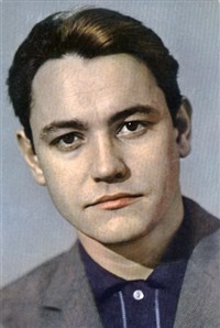 Земляникин Владимир Михайлович (портрет)