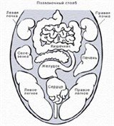 Зоны языка в аюрведе