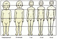 ИЗМЕНЕНИЕ ПРОПОРЦИЙ ТЕЛА