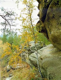 ИЛЬМЕНСКИЙ ЗАПОВЕДНИК