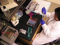 ИММУНОЛОГИЧЕСКИЙ СТАТУС (лаборатория)