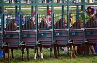 ИППОДРОМ (перед забегом)