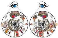 ИРИДОДИАГНОСТИКА (диагностика)