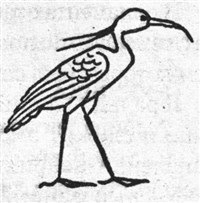 Ибис (символ)