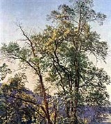 Иванов Александр Андреевич (Олива)