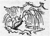 Ива (символ)