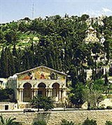 Иерусалим (Масличная гора)