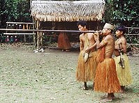 Икитос (индейцы ягуас)