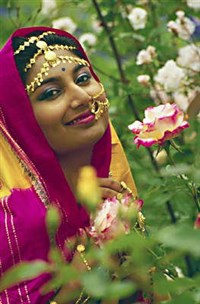 Индийцы (украшения)