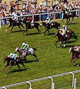 Ипподром (скачки)