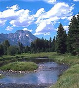 Йеллоустонский национальныйп парк (гора Морон)