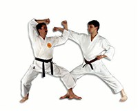 КАРАТЕ-ДО