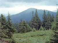 КАРПАТЫ (Карпатский заповедник)