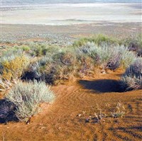 КЕЛИФСКИЙ УЗБОЙ (вид)