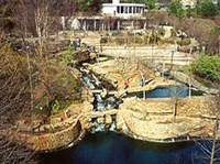 КОЛУМБИЯ (городской парк)