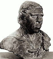 КОМБ-КАПЕЛЬ (кроманьонец)