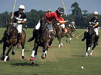 КОННОЕ ПОЛО [спорт]