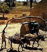 Кабо-верде (на побережье одного из островов)