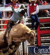 Калгари (родео)