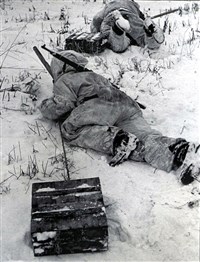 Калининский фронт (1942 год)