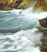 Калифорнийский залив