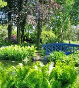 Кальмар (сад)