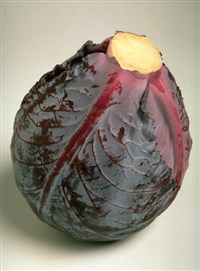 Капуста краснокочанная