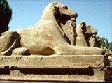 Карнак (сфинкс)