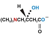 Карнитин (витамин B)