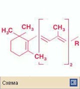 Каротиноиды (гамма-каротин)