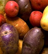 Картофель (клубни различных сортов)