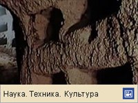 Катакомбы (видео)