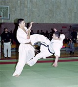 Кекусинкай (бросок) [спорт]