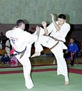 Кекусинкай (поединок) [спорт]