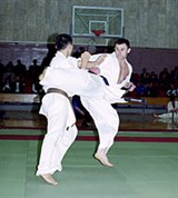 Кекусинкай (удар ногой) [спорт]