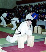 Кекусинкай (удар рукой) [спорт]