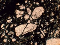 Кимберлит (снимок без анализатора)