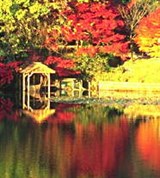 Киото (храм Киемидзу)