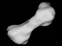 Клеопатра (малая планета)