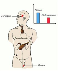 Климакс мужской