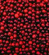 Клюква (ягоды)