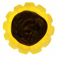 Колесики апельсиновые