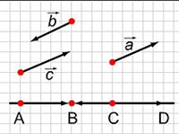 Коллинеарные векторы
