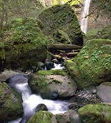 Колумбия (водопад на реке Колумбия)