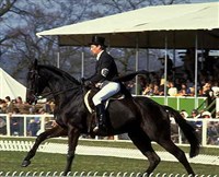 Конный спорт (выездка)