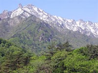 Корея (Сораксан)