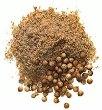 Кориандр [кулинария]