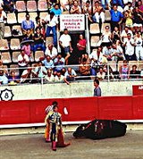 Коррида (поверженный бык)